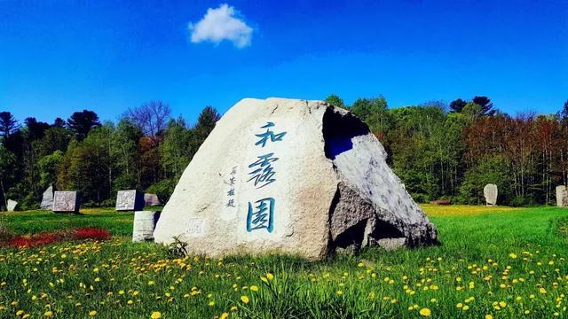 想去「踏春采茶」，国内有哪些茶园特别适合观光游玩？游戏画面