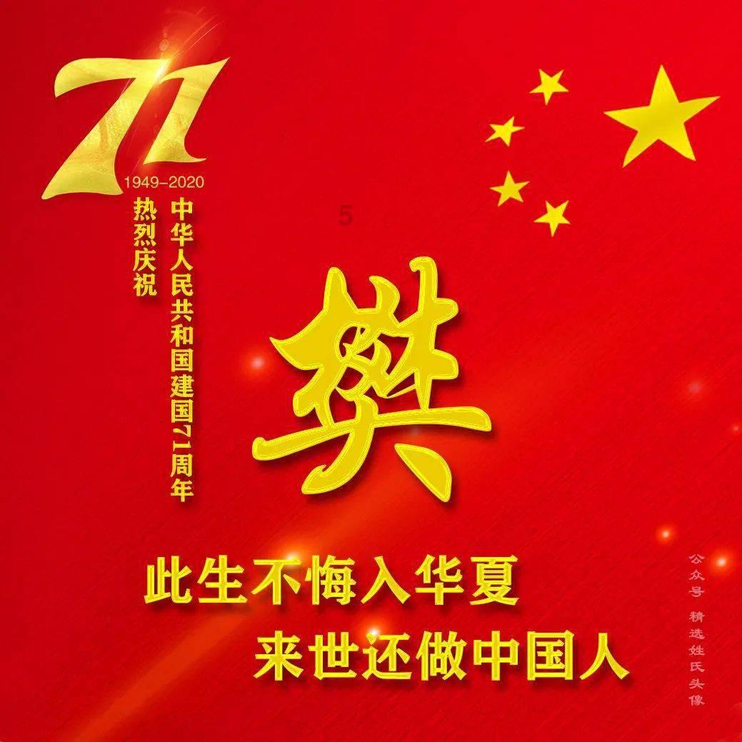 救援狗与猫