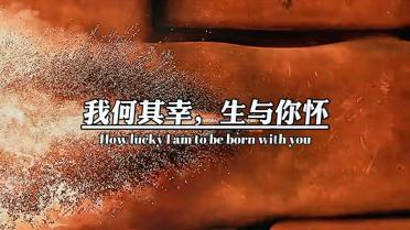 绿豆大的珠子上 刻了二十四个“龙”字