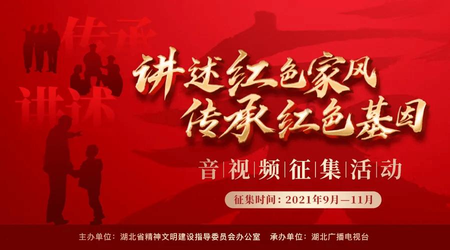 寻找迷路的松鼠